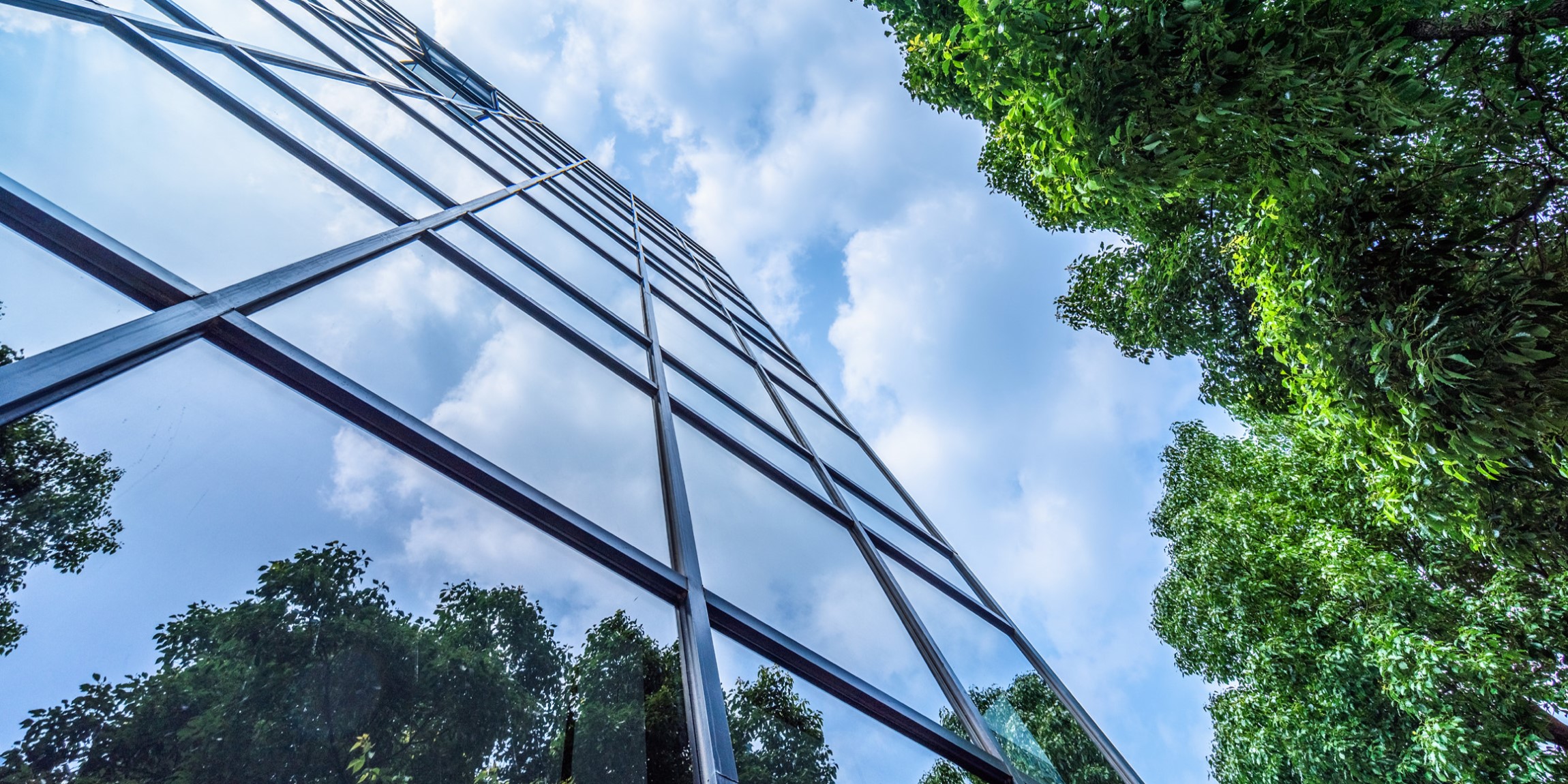 Orientare spre viitor